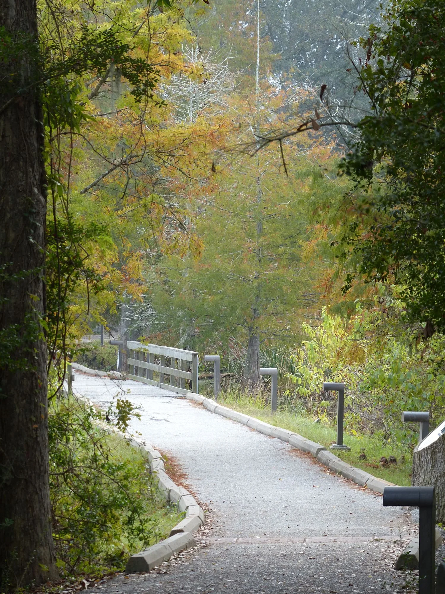 Entrance path to Creekfield Lake.
