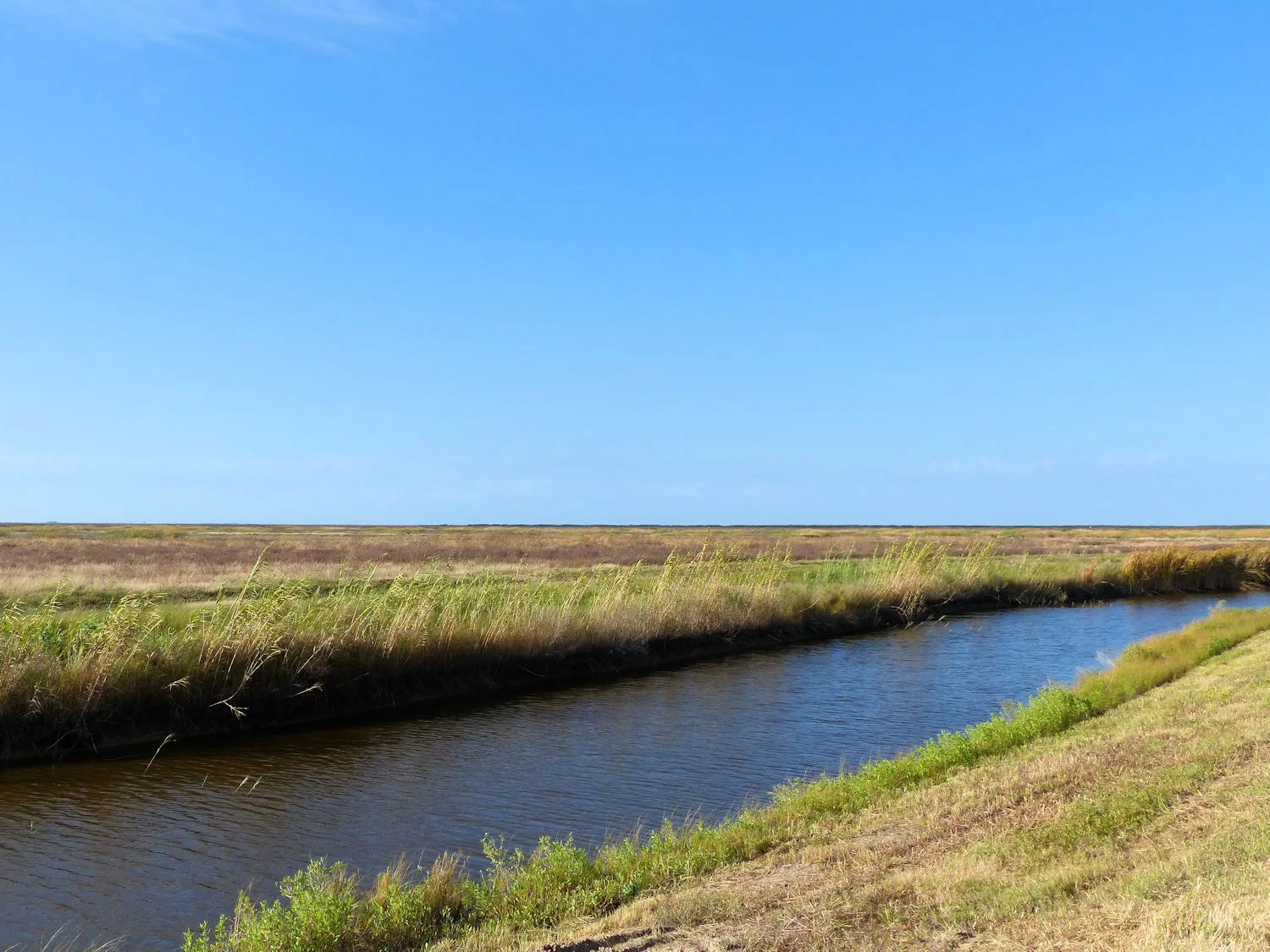 Anahuac Wildlife Refuge is ... absolutely flat