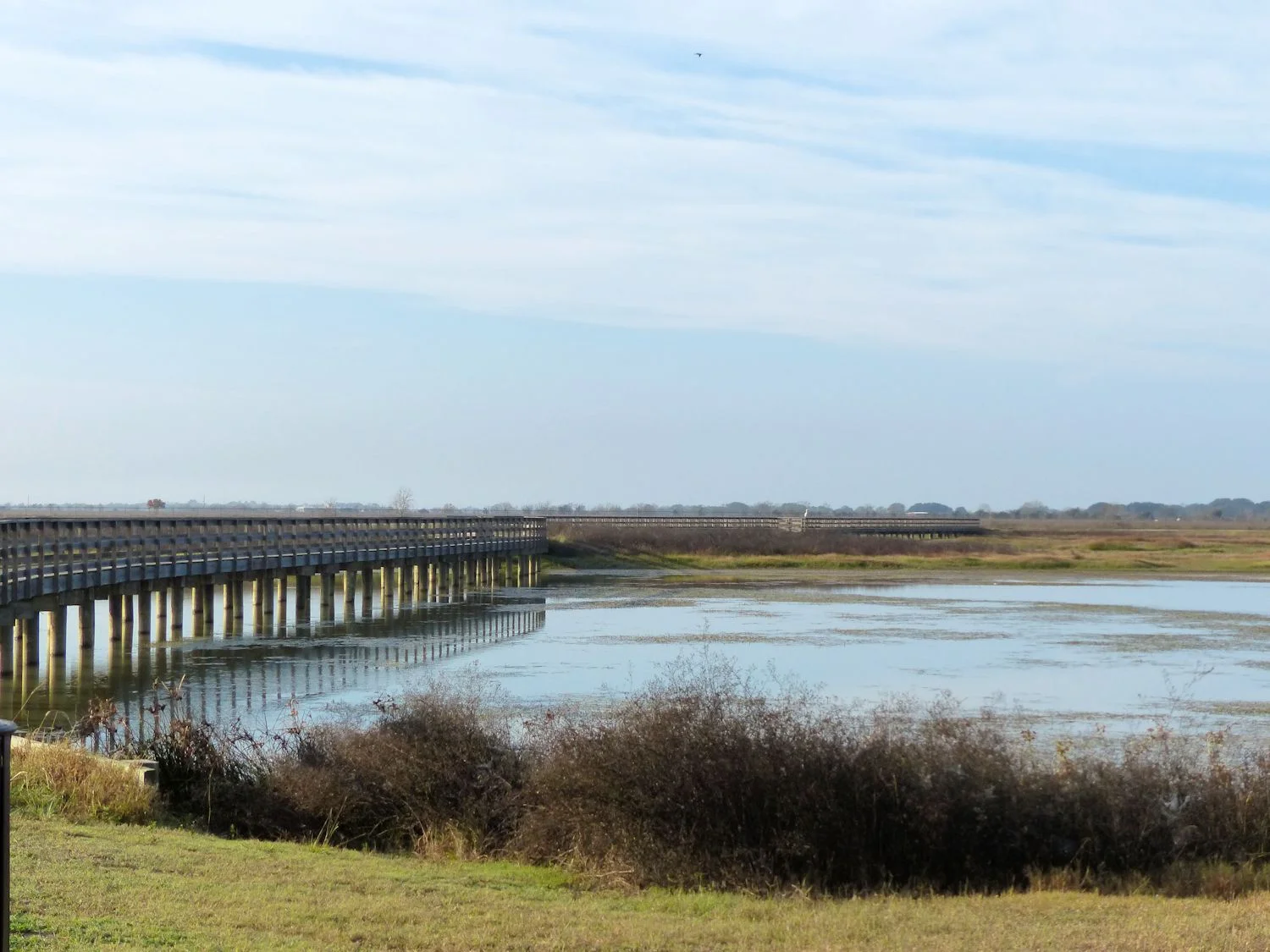 Elevated walkways over the wetlands