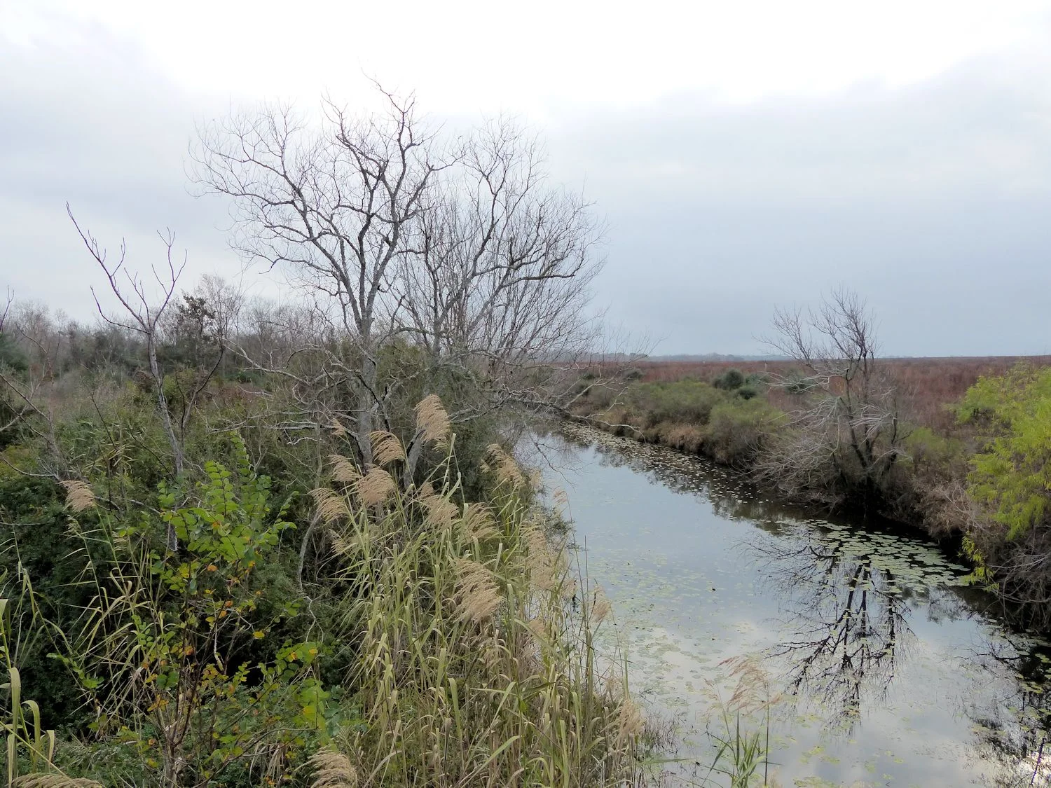 San Bernard River or tributary