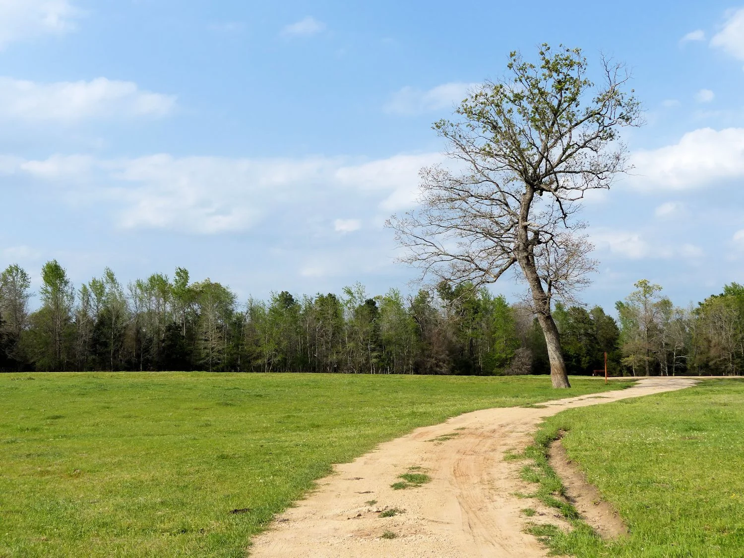 Ranch road to ....?