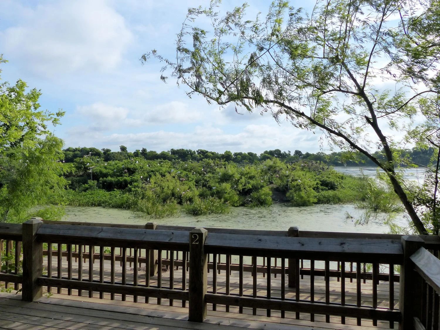 View of Heron Island at Smith Oaks