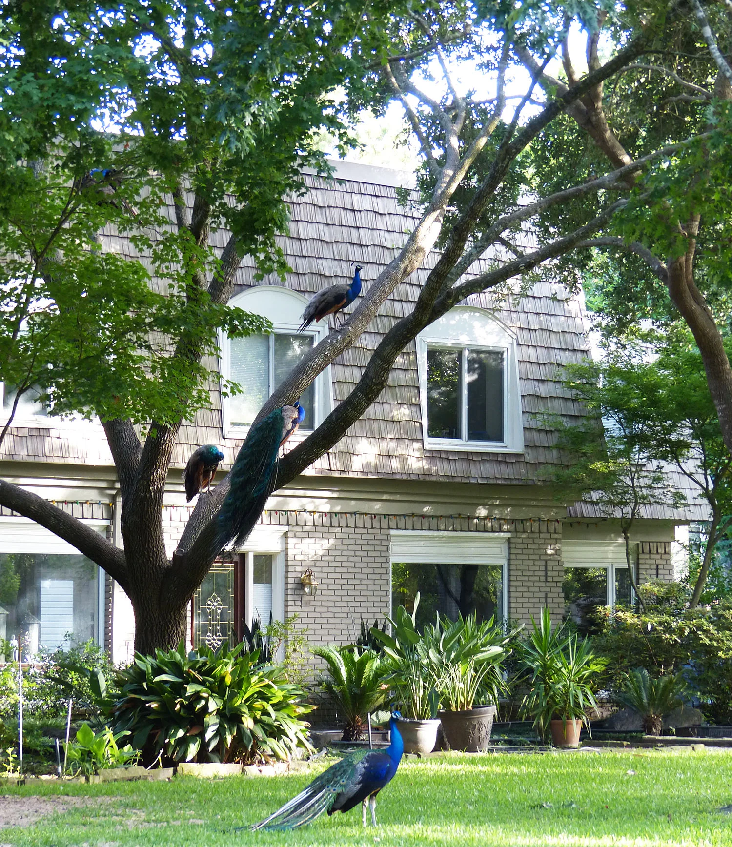 Residential neighborhood off Kirkwood