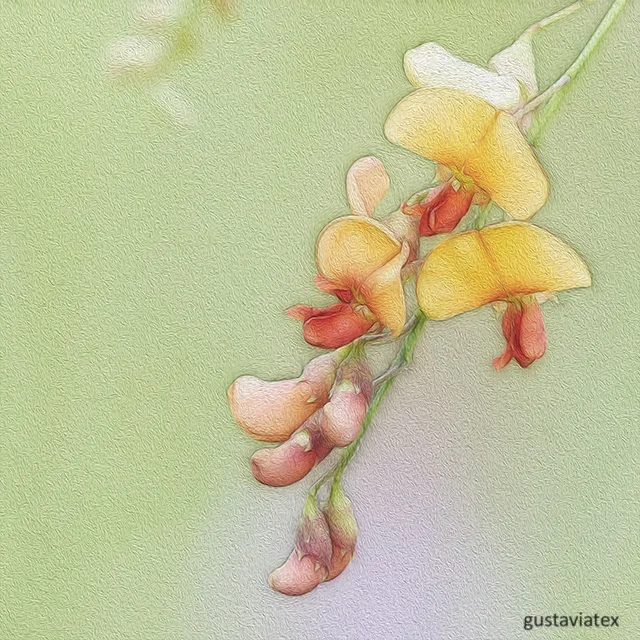 Soft flowers