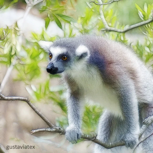 Larry the Lemur