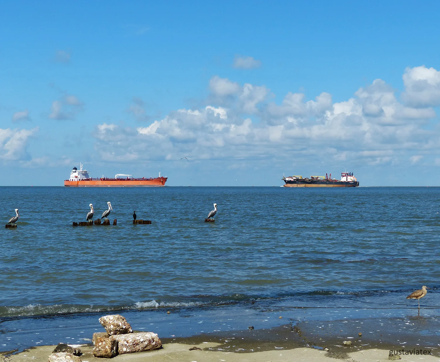 Ships passing the the afternoon.... note the Curlew in the lower right