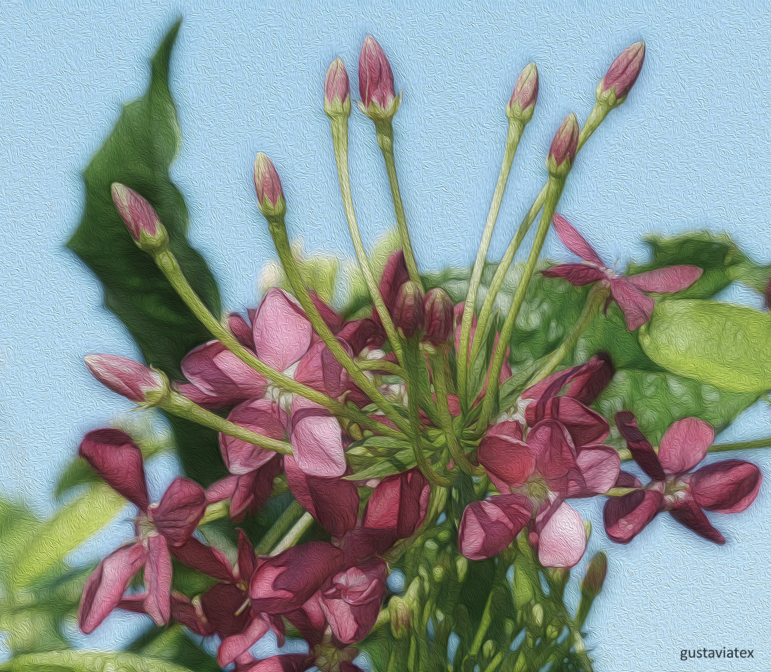 Pretty pink flowers