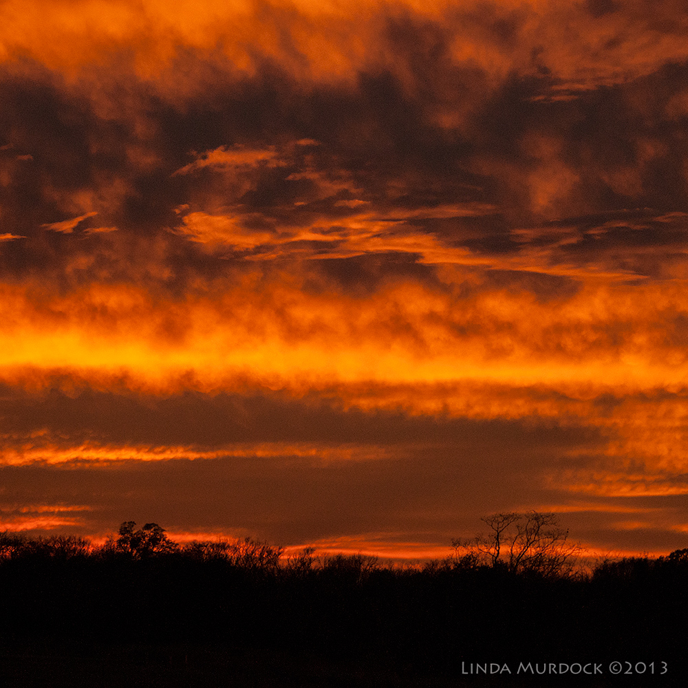 December sky SonyA700 ISO 1000 1/800 at f/5.0 focal length 112.0mm. Cropped for composition