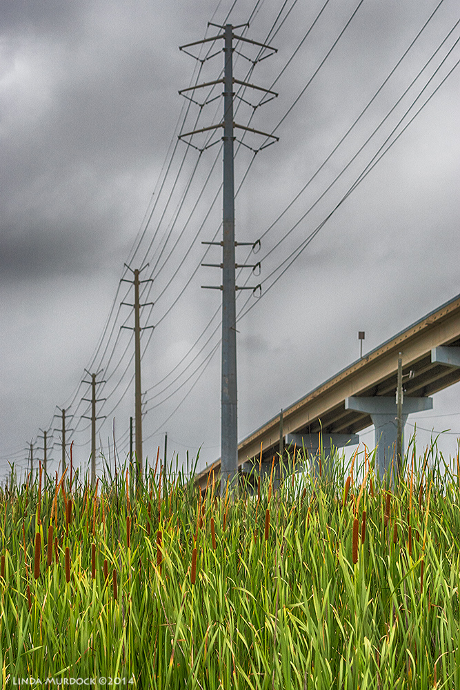 Under the overpass of Hwy 1495 and the Intracoastal canal Sony A77 II with 70-400mm G2 1/1250 sec. f/8.0 ISO 1000