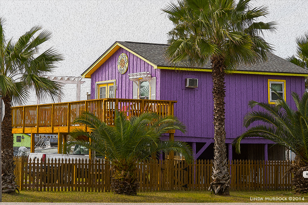 What a cool house! Sony A77 II with 70-400mm G2 1/500 sec. f/8.0 ISO 400