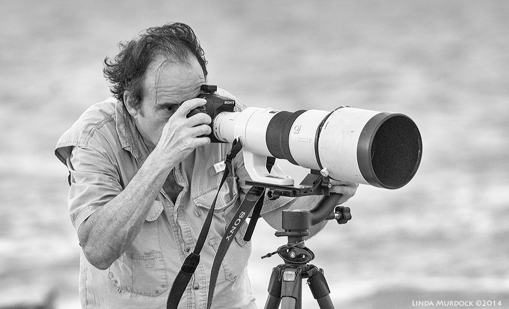 Wildlife photographer in action Sony A77 II with 70-400mm G2 1/1250 sec. f/5.6 ISO 1000