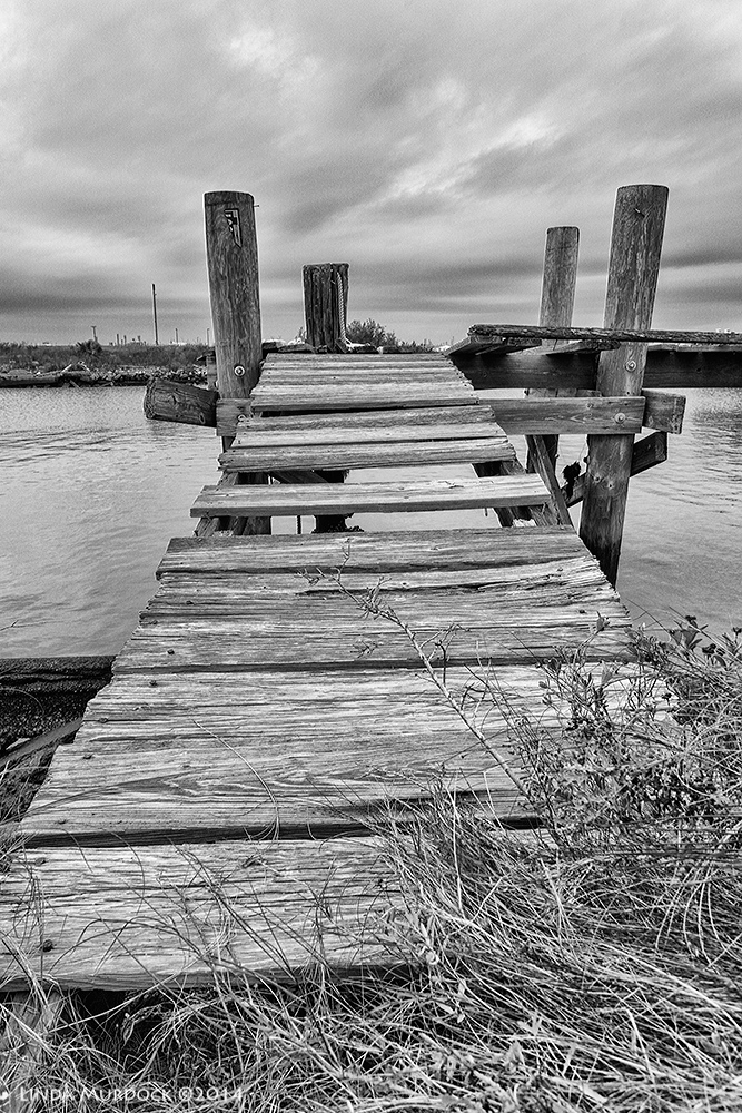 Hurricane debris Sony A77 II with DT 16-50mm 1/800 sec. f/5.6 ISO 500
