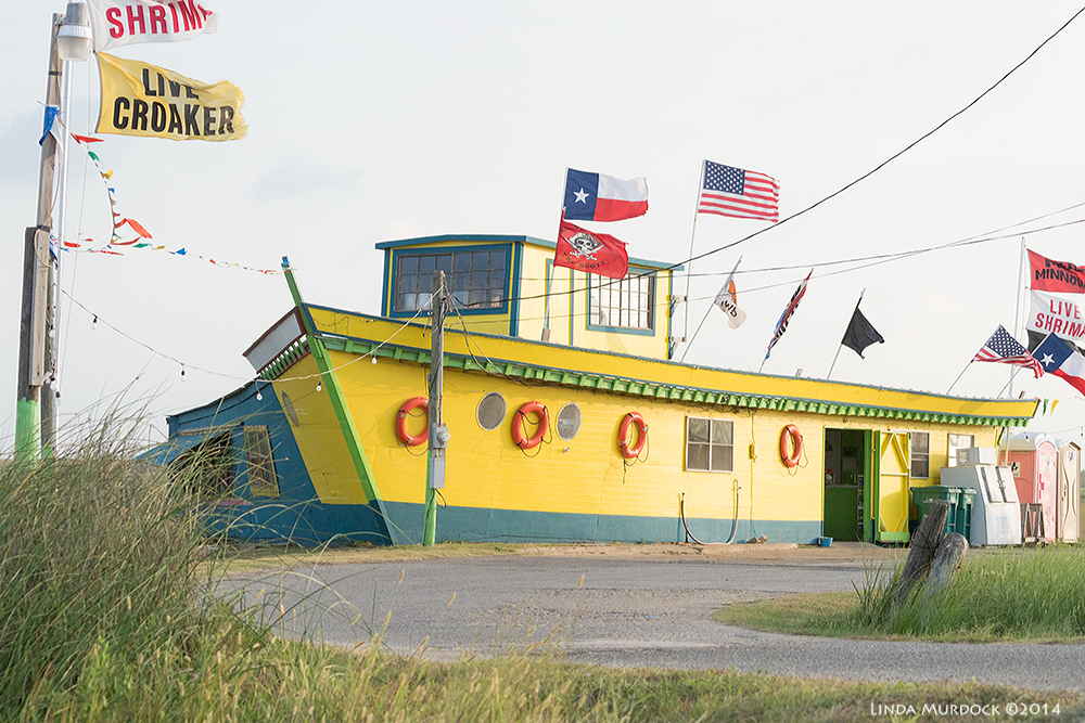 Bait shop on Hwy 332 headed to Surfside Sony A77 II with 70-400mm G2 1/1250 sec. f/5.6 ISO 1000