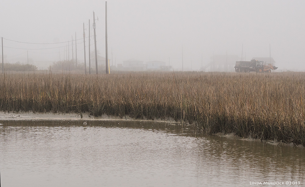 The Clapper Rail Memorial Pond at Surfside - it was quite foggy that day Sony A77 II with 70-400mm G2 1/1600 sec. f/7.1 ISO 1000