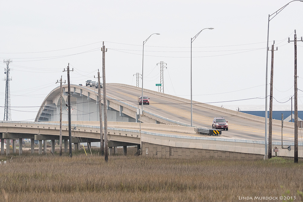 Low ramp to get back on highway from Intracoastal Canal turn around. Sony A77 II with 70-400mm G2 1/2000 sec. f/6.3 ISO 1000