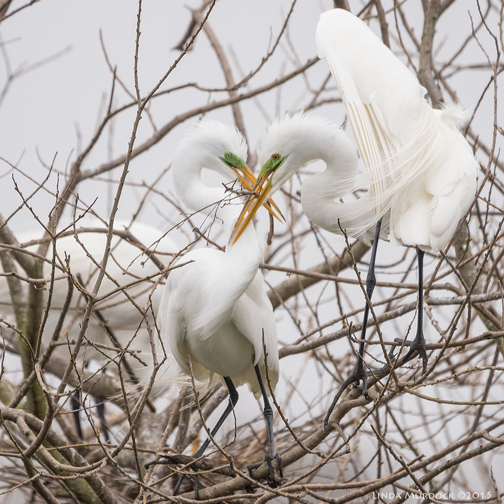 She takes his present... Sony A77II with Sony 70-400 G2 f/5.6 1/1600 sec ISO 1000