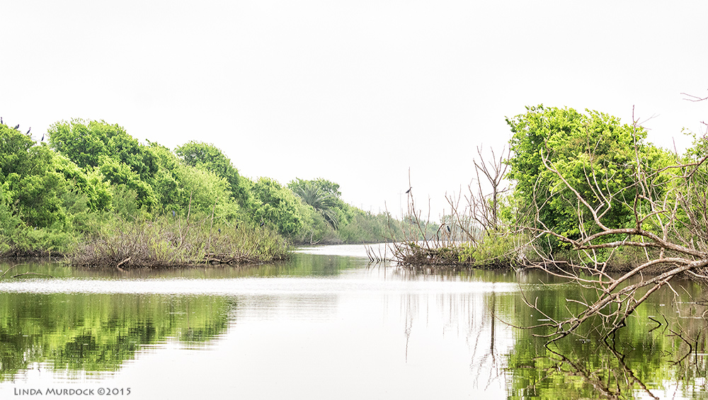 View looking down the canal Sony A77II with Sony 70-400 G2 f/5.6 1/1000 sec ISO 800