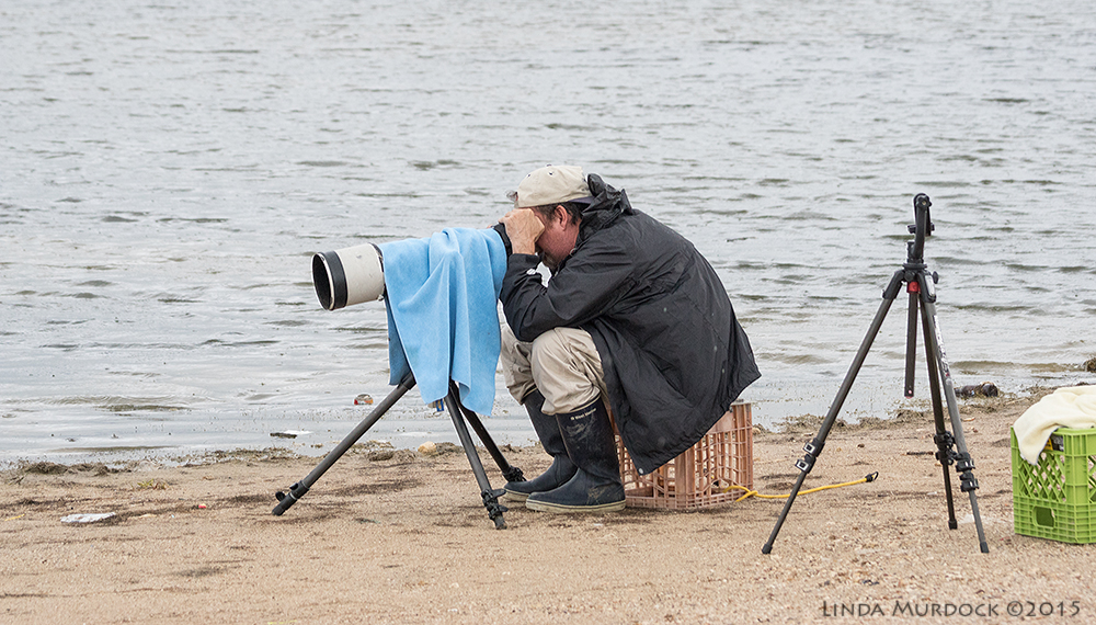 The glamorous life of a wildlife photographer