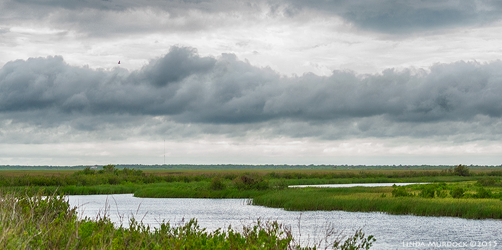 Brazoria marsh and storm coulds Sony A77II with Sony 70-400 G2 f/6.31/640 sec ISO 1000