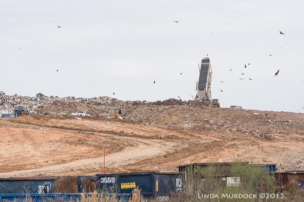 Mountains of trash Sony A77II with Sony 70-400 G2 f/5.6 1/1250 sec ISO 1000; hand held