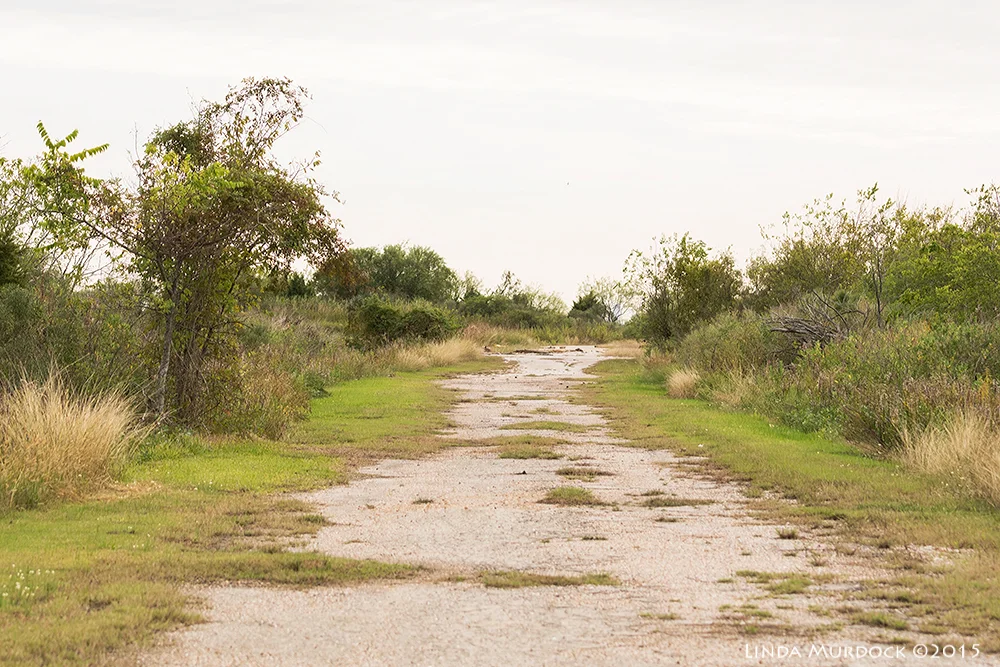 Road to nowhere