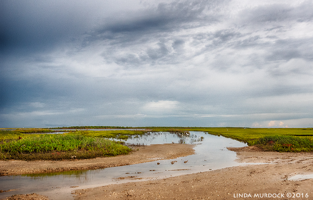 Water-filled dirt road near public boat ramp Sony A77II with Sony 70-400 G2 f/7.1 HDR 