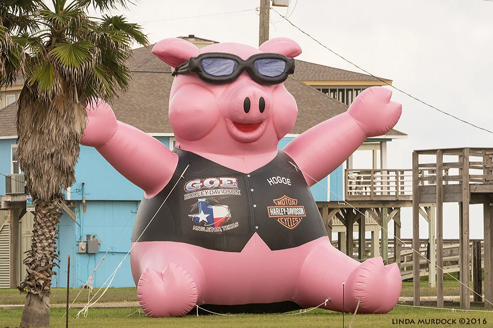 Welcoming visitors to Surfside