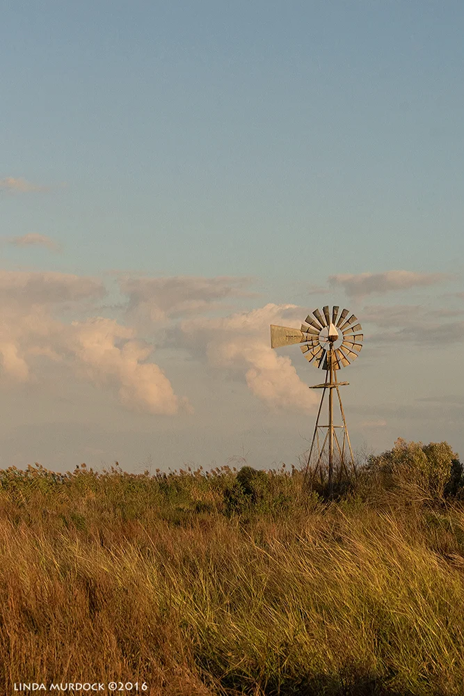 Lonesome Windmill Sony A77II with Sony 70-400 G2; 1/2000 sec f/8.0 ISO 1050; hand-held