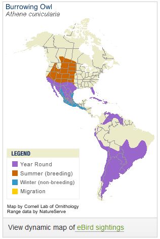 Range Map from Allaboutbirds.org