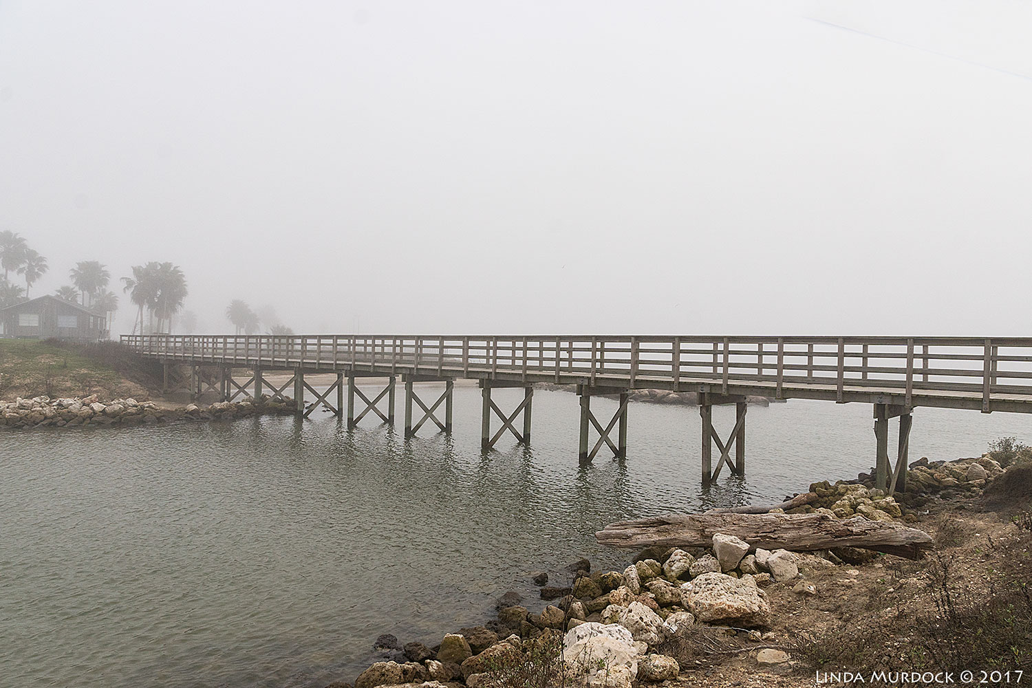 Foggy coast Sony A77II with Sony DT 16-50 f/2.8 ~ 1/400 sec f/9.0 ISO 400
