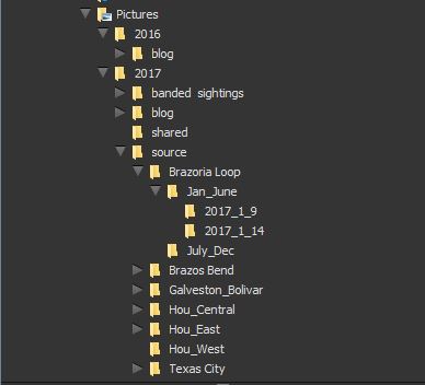 Directory structure out of Bridge