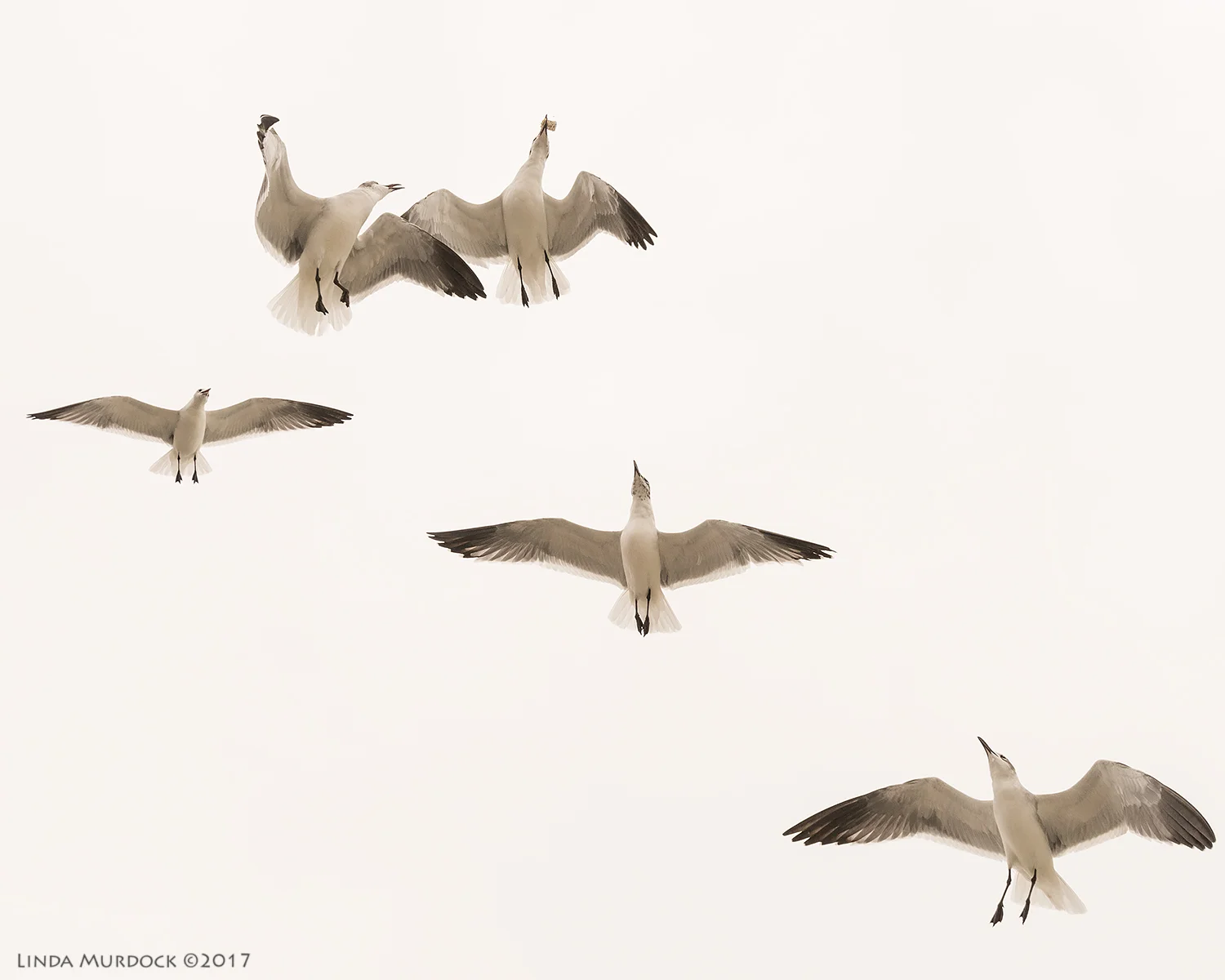 Look out above Nikon D810 with Tamron 15-30 f/2.8 ~ 1/2000 sec f/7.1ISO 1000 at 30mm; hand-held