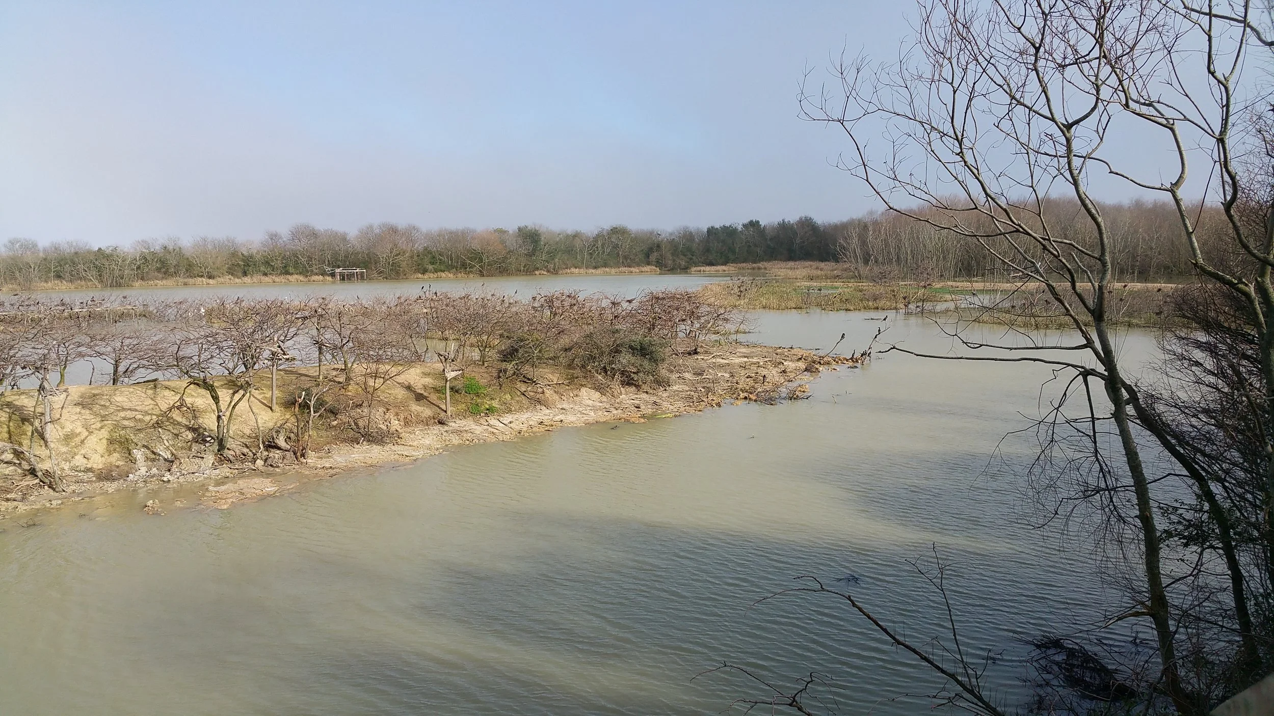 View from top of pay platform at rookery island Feb 16th - Galaxy 4 Note photo