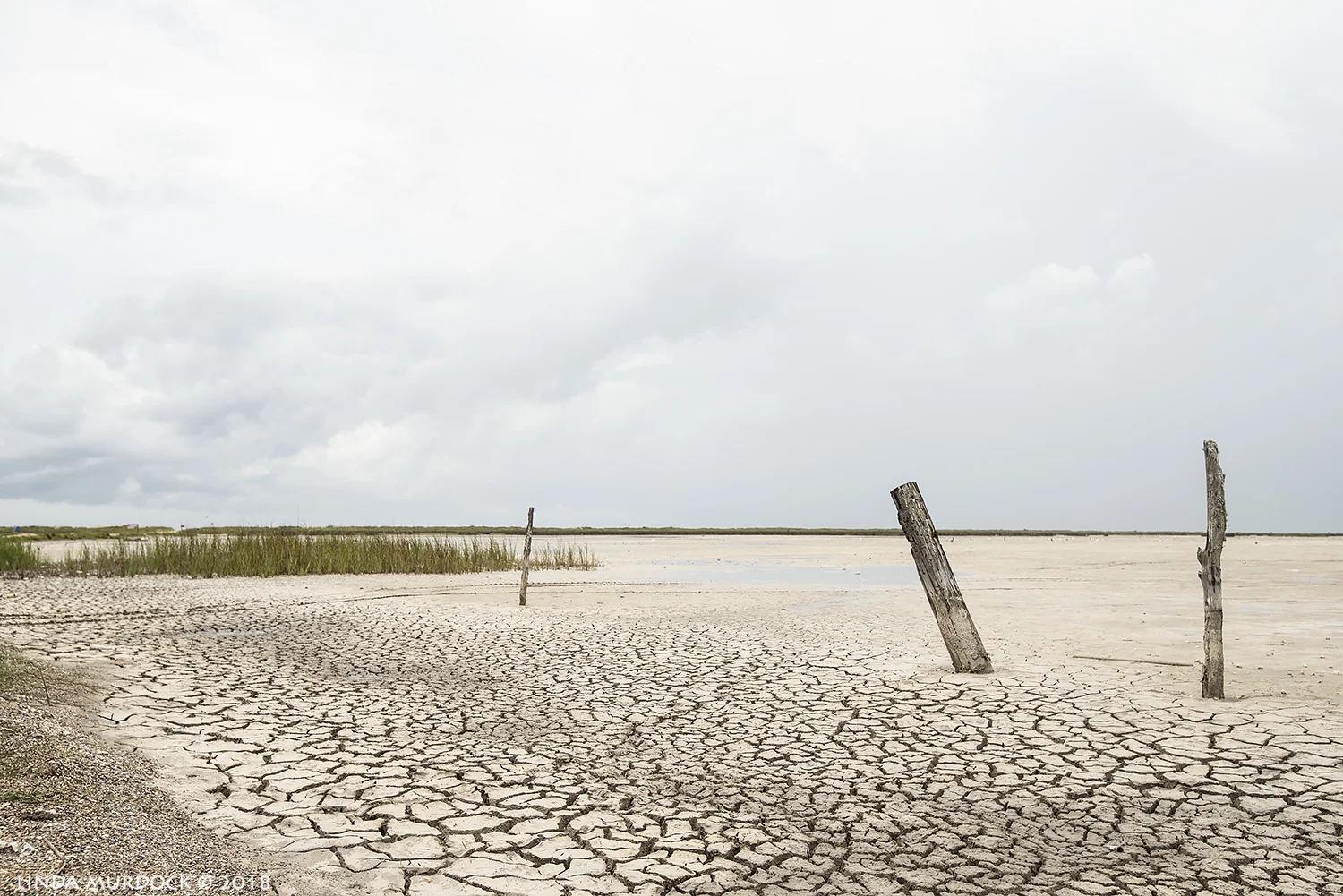 Yep. It is that dry around here. Nikon D810 with Tamron 15-30 f/2.8 ~ I/2000 sec f/7.1 ISO 800; hand-held