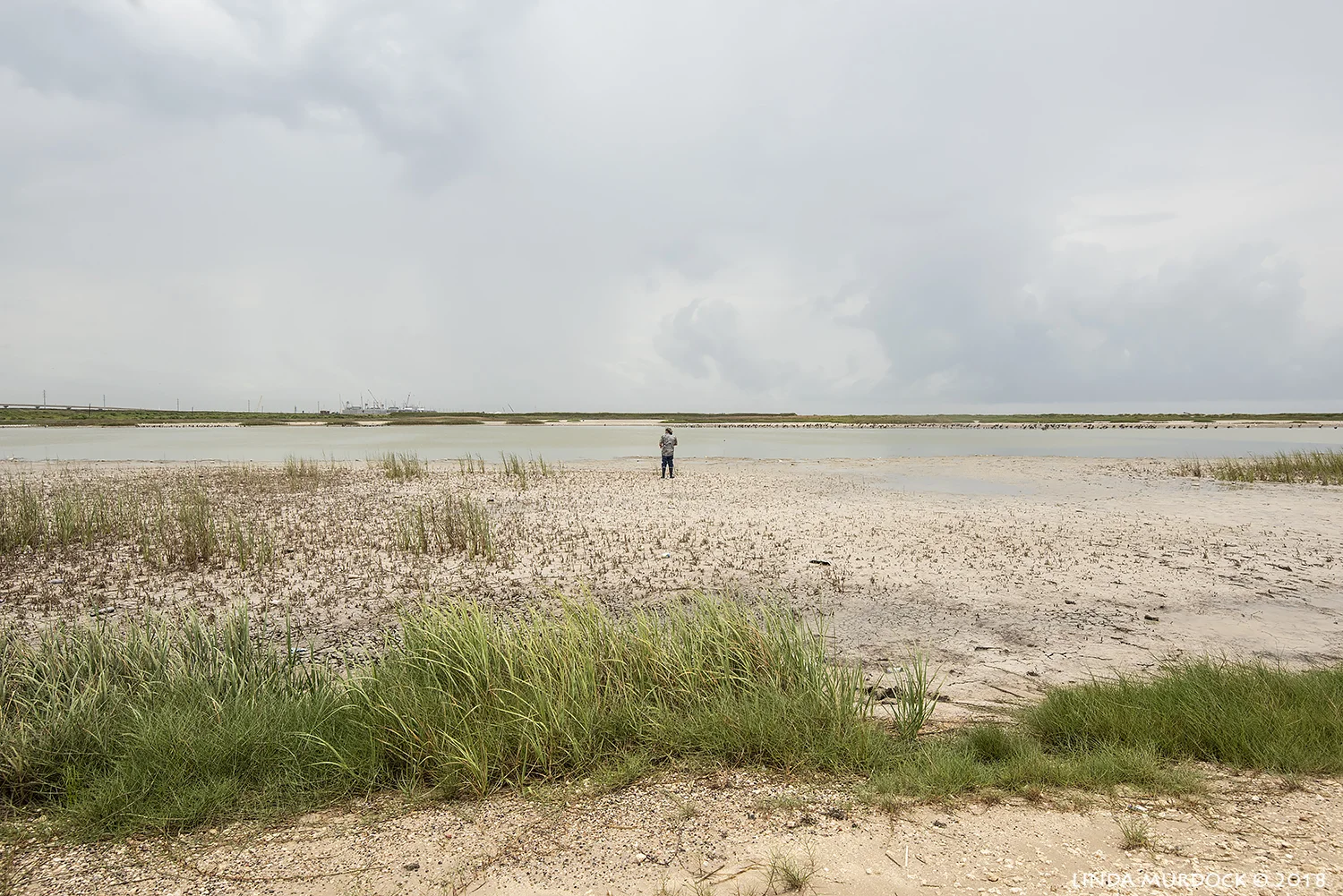 Bill inspecting the landscape. The birds are on the far shore. Nikon D810 with Tamron 15-30 f/2.8 ~ I/2000 sec f/7.1 ISO 800; hand-held