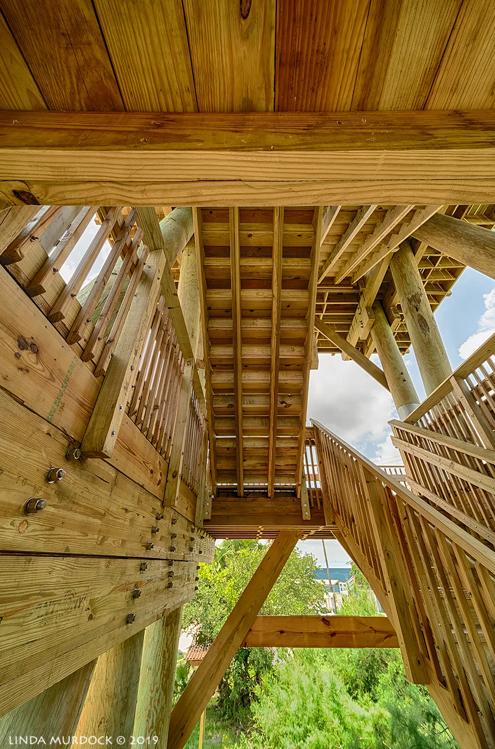 Quintana Neotropical Bird Sanctuary tower Nikon D850 with Laowa 12mm f/2.8 ~ HDR f/11 ISO 400