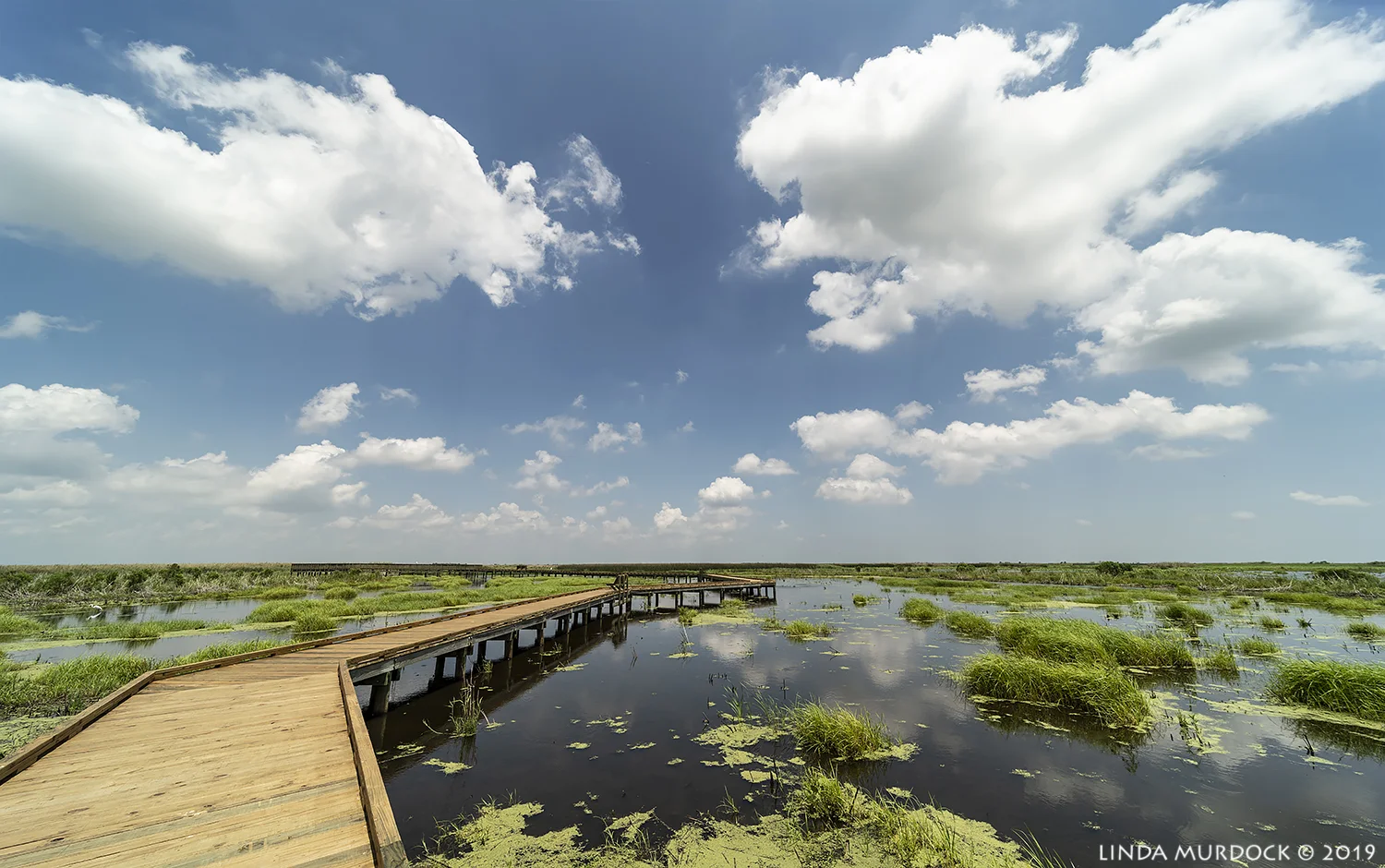 Re-built boardwalks Nikon D850 with Laowa 12mm f/2.8 ~ 1/200 sec f/11 ISO 100