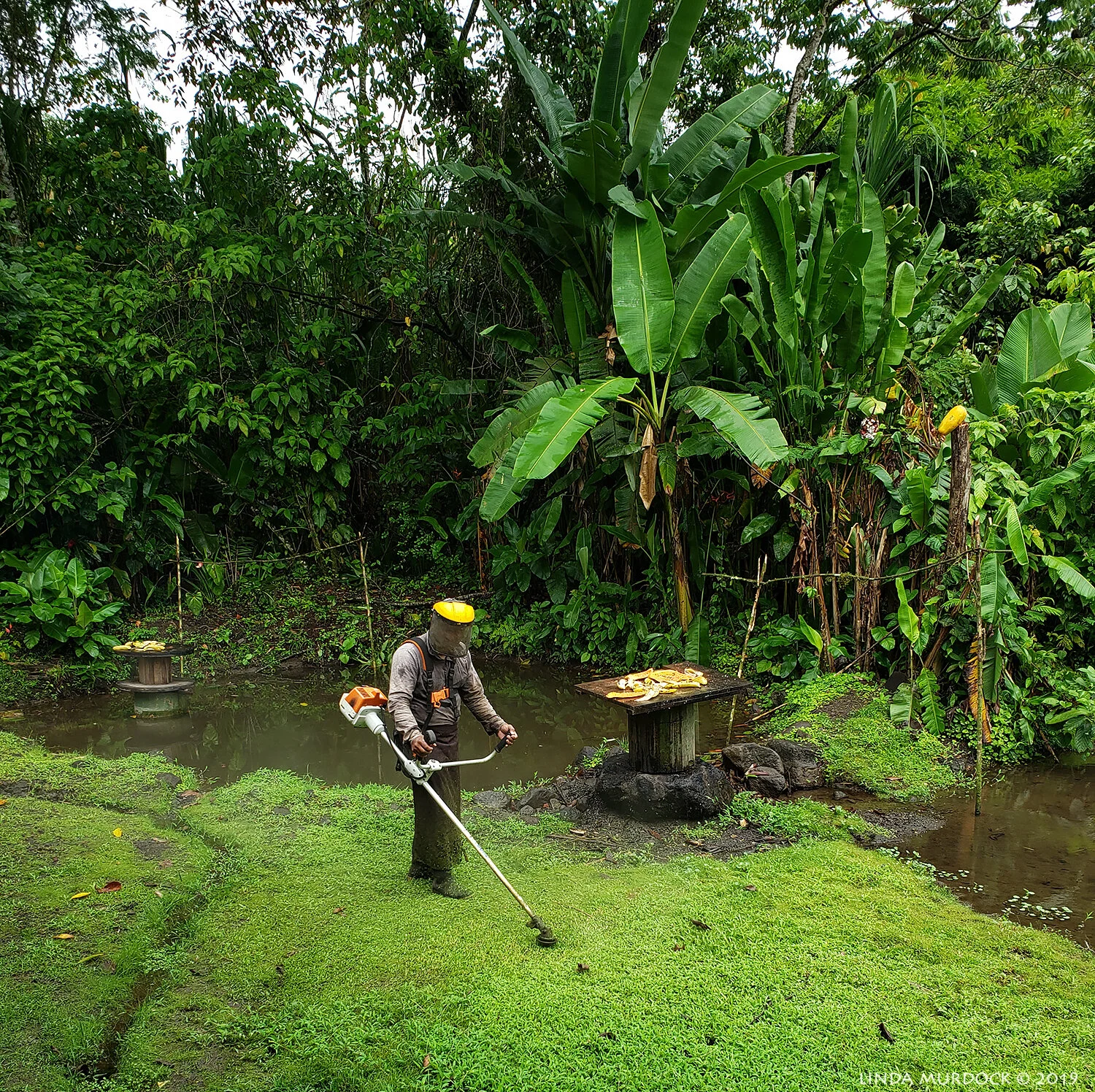 Grounds keeping in Costa Rica - Galaxy 9 phone shot