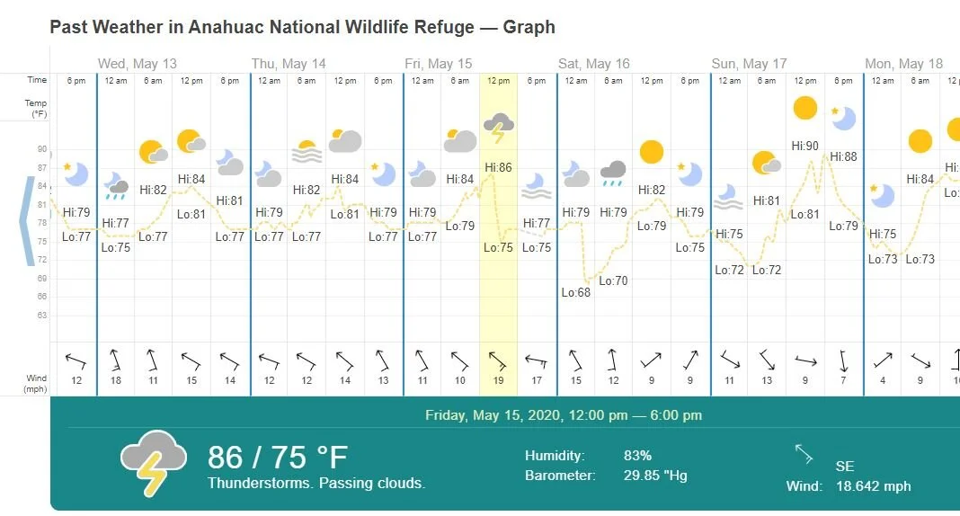 Anahuac at Last! — Linda Murdock Photography