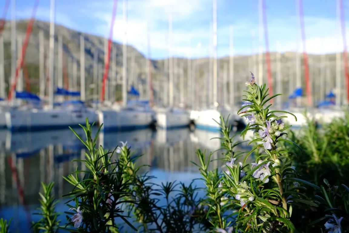 Herbs & Yachts