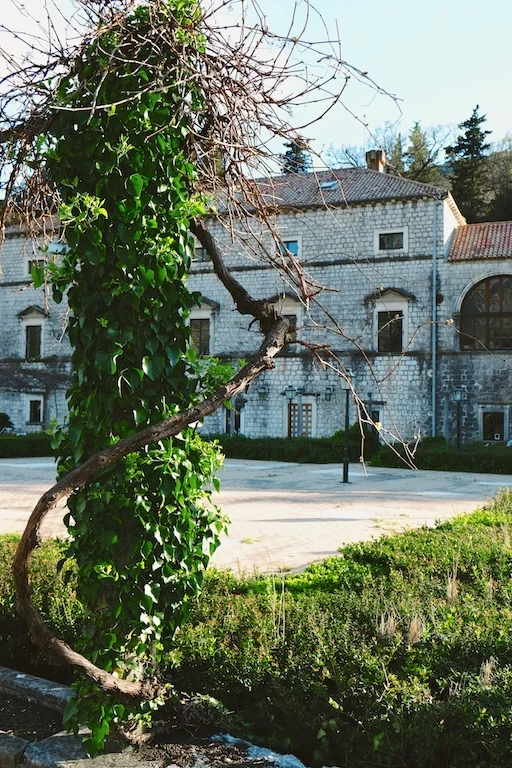Old historical buildings