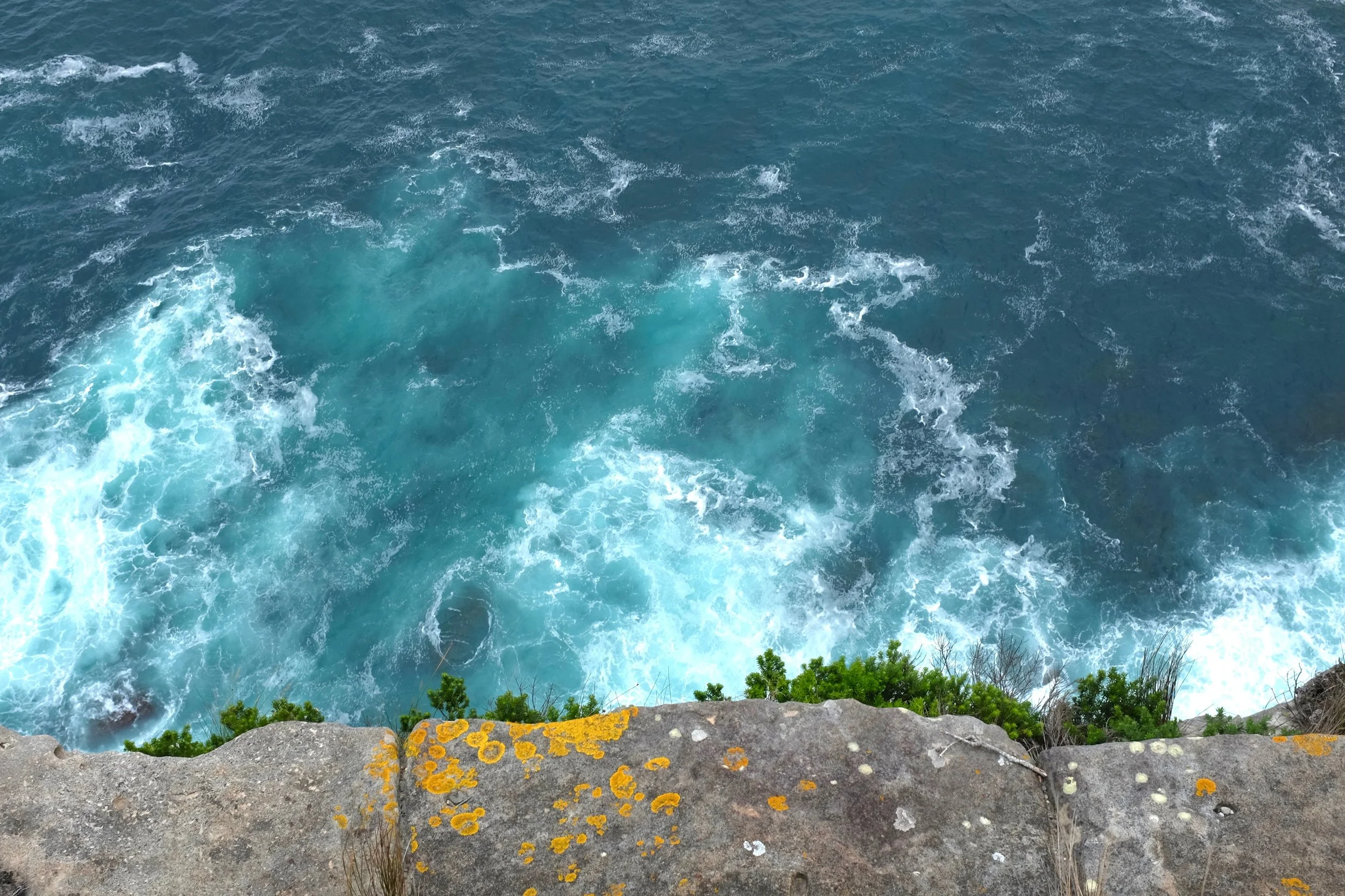 DSCF1591.jpg
