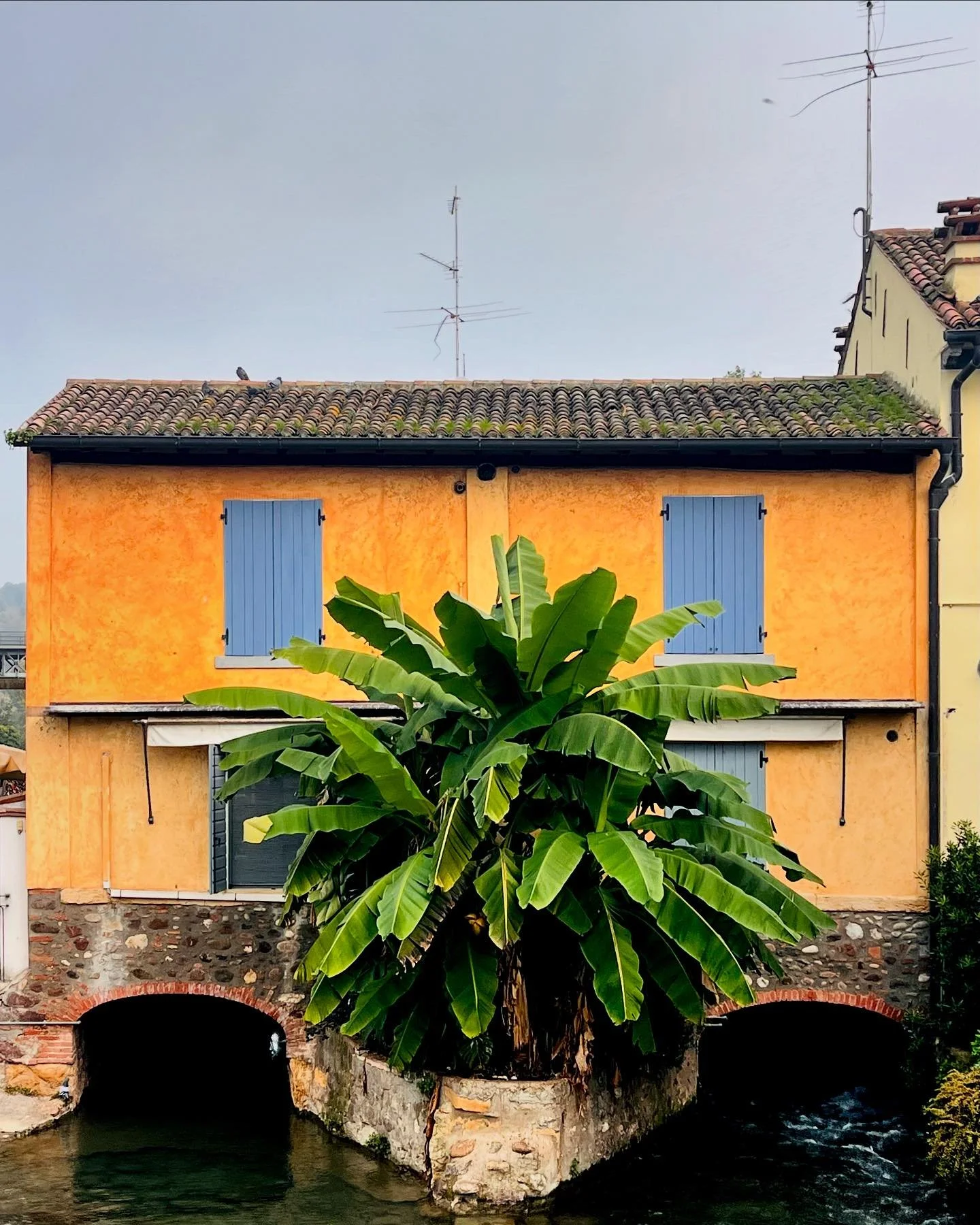 Boom #autumn #colour #italy #roadtrip