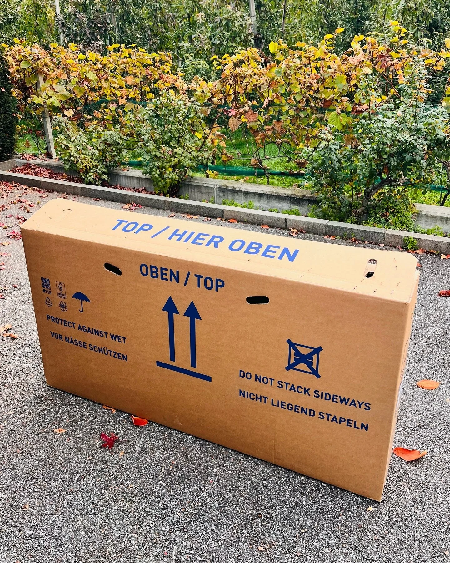 TOP #itstime #cycletrip #startingsoon