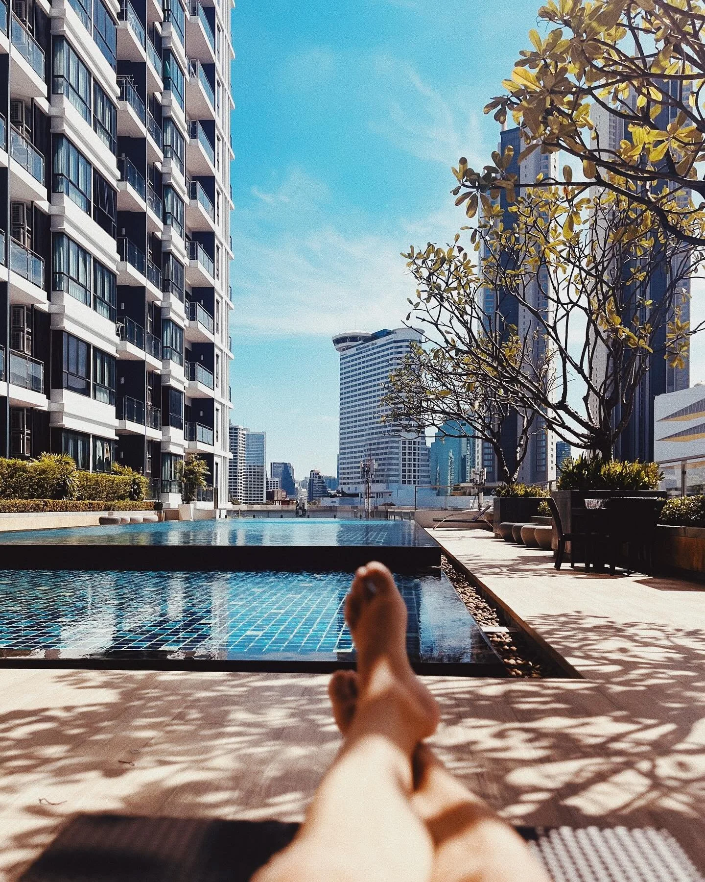 Never break a tradition #2024 #poolpic #tropics #swim #relax