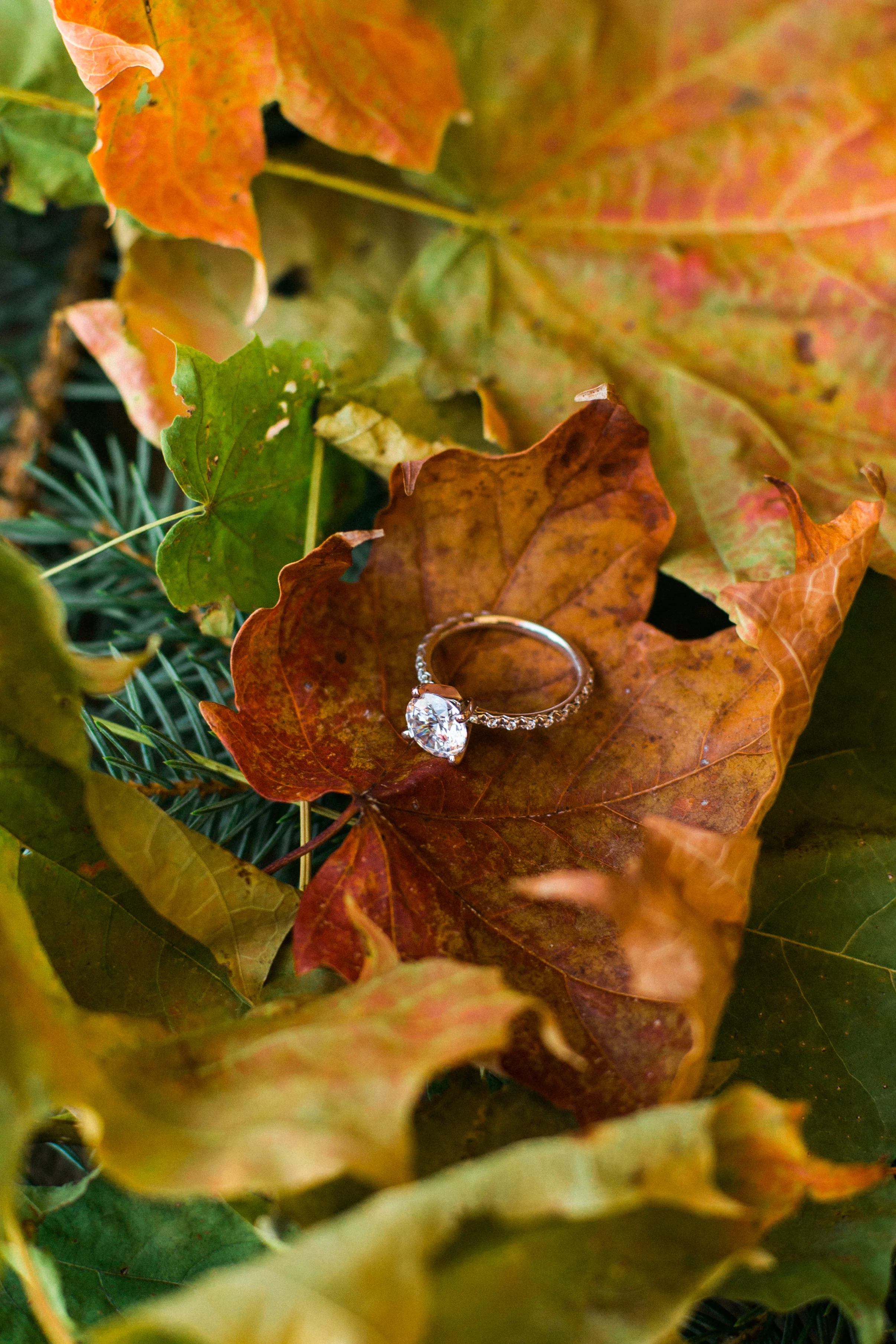 James Allen CanadaMark Diamonds