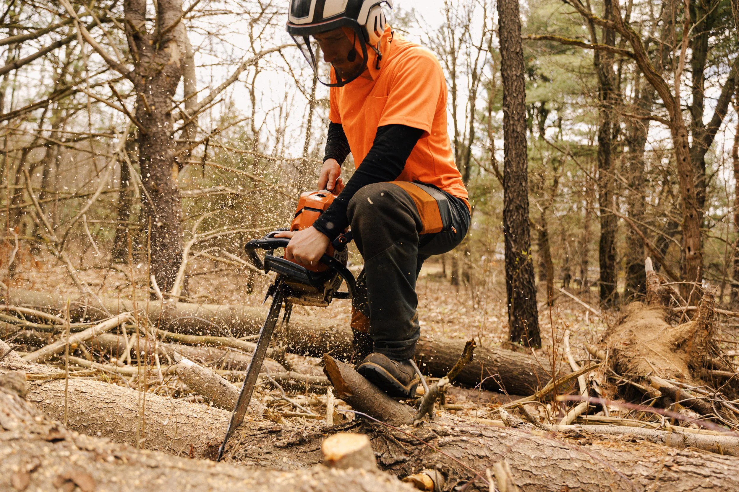 FrontlineTreeService__Web-033.jpg