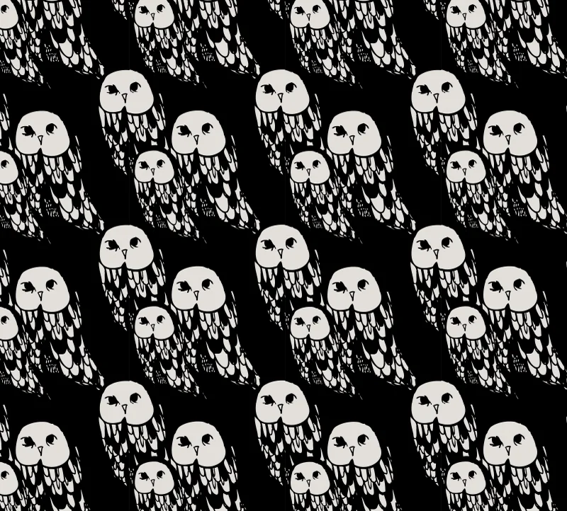 BB_OWLS.jpg