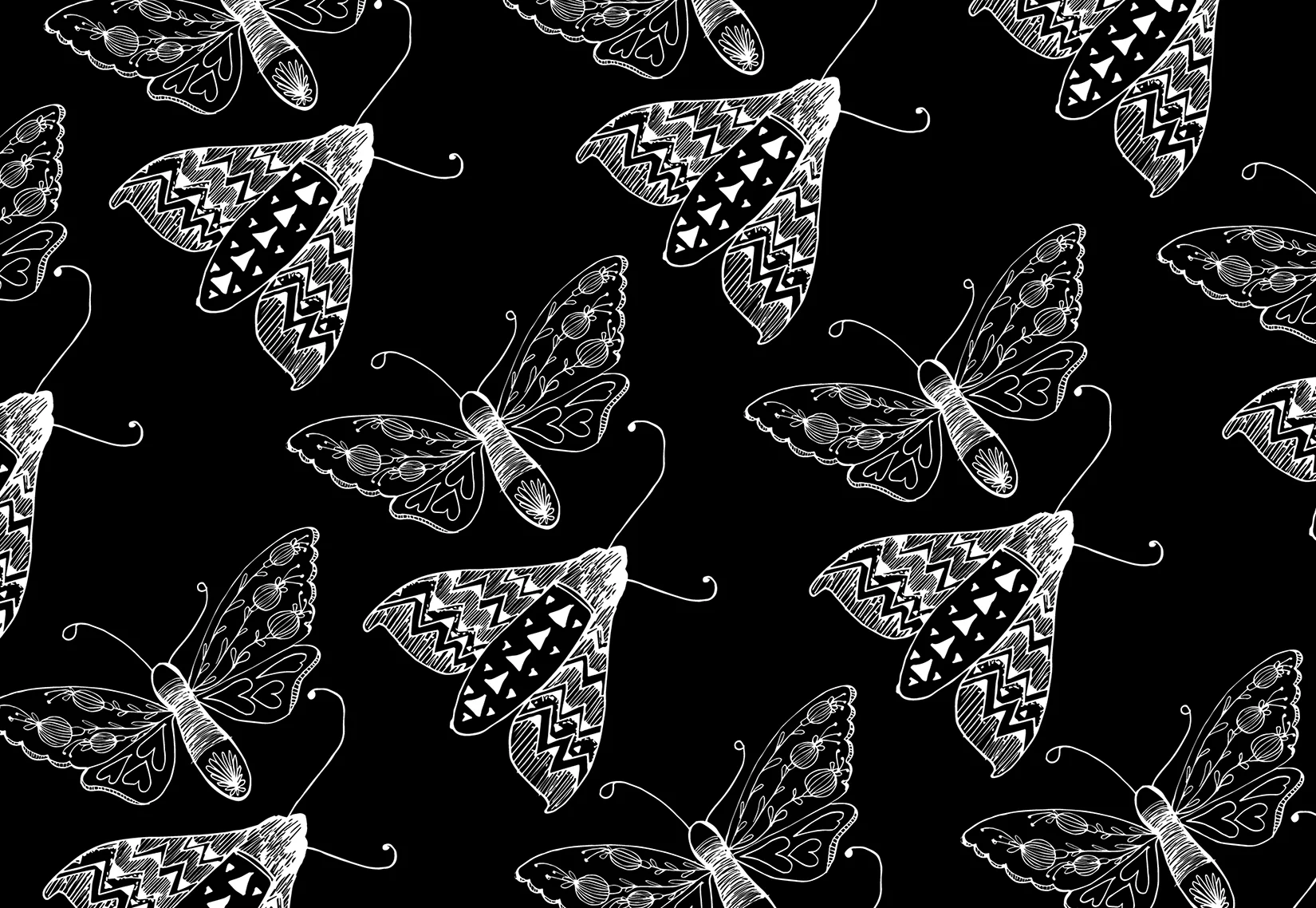 BB_B&W02b_Butterpop_Coord02b.jpg