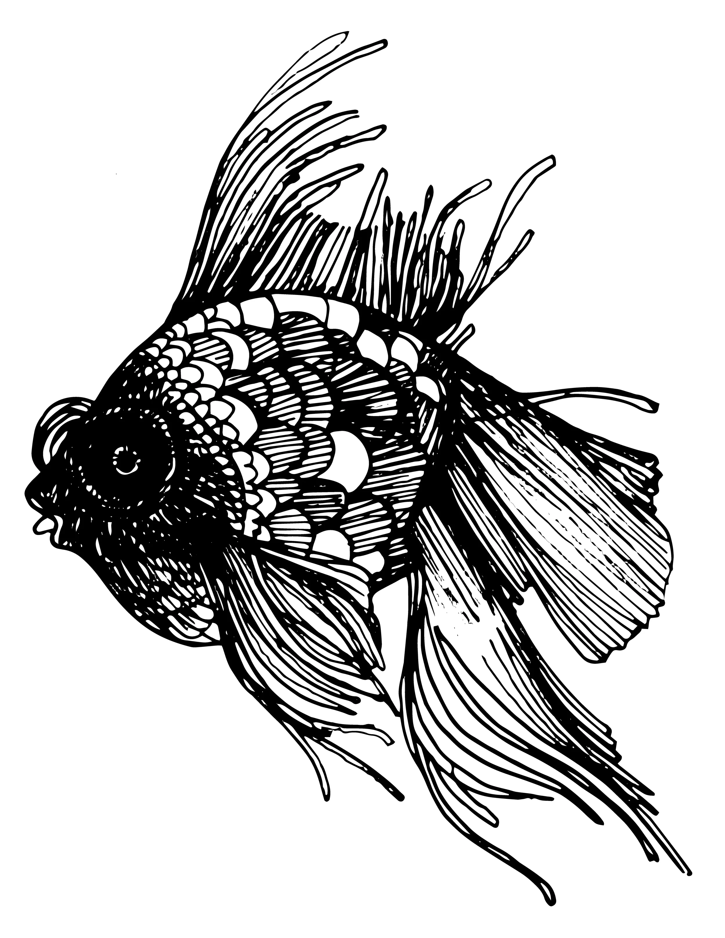 GoldFishDreams.jpg